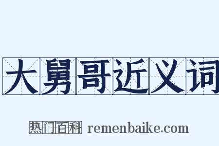 大舅哥近义词是什么意思的图片